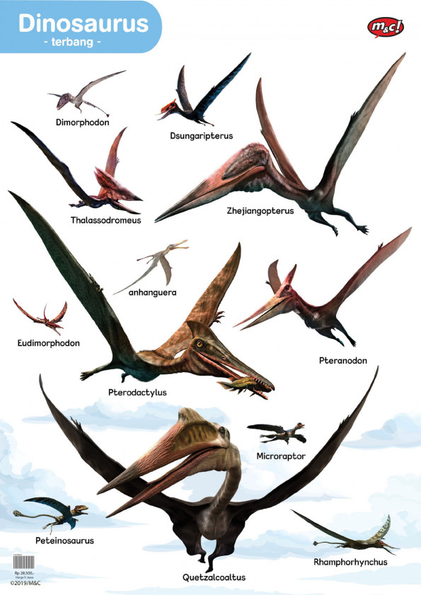 Poster Dinosaurus Terbang